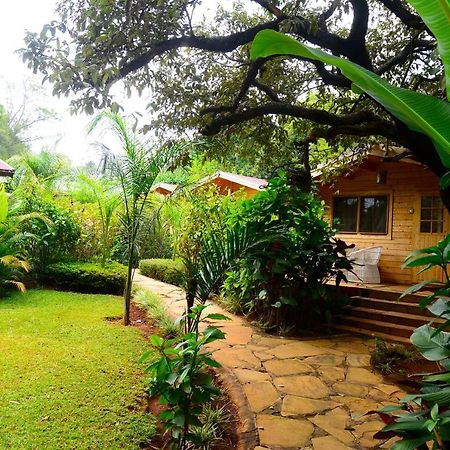 Severine Cottages And Lounge Ltd Nairobi Eksteriør billede