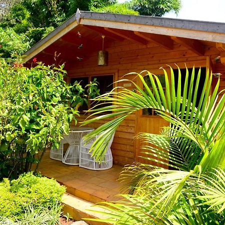Severine Cottages And Lounge Ltd Nairobi Eksteriør billede