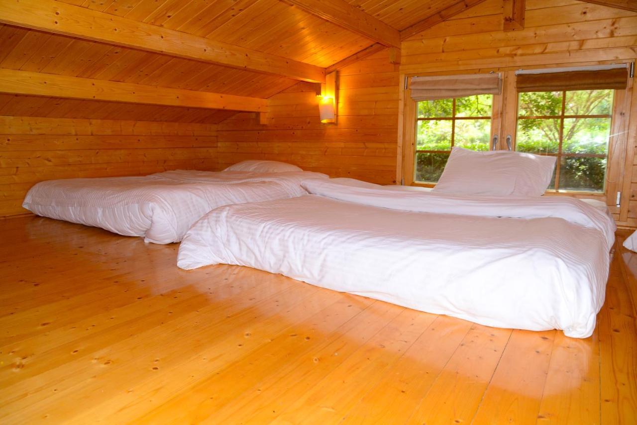 Severine Cottages And Lounge Ltd Nairobi Eksteriør billede